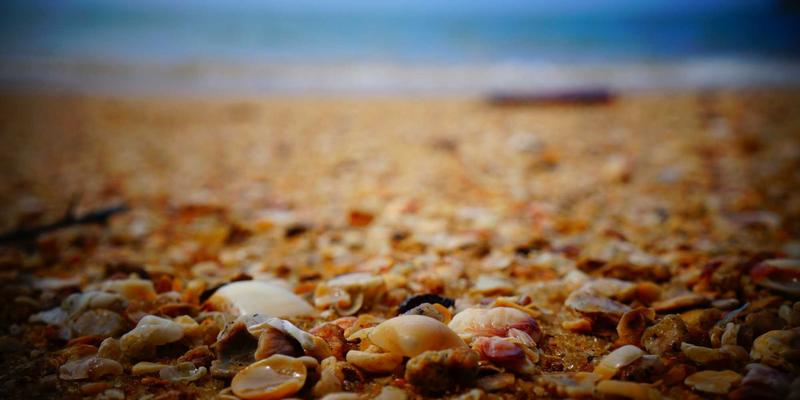 人才引擎驱动产业升级：南京聚力引才战略如何重塑精密制造与工业设备新生态