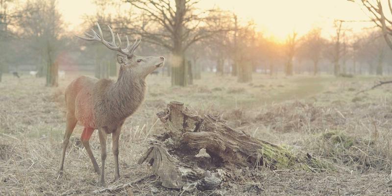 南京聚力:以机器视觉与AI质检为引擎,重塑精密加工零缺陷新标杆