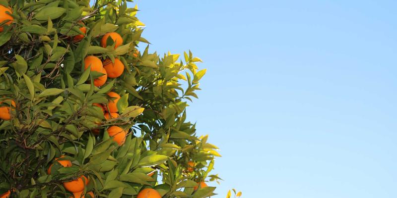 南京聚力:以核心功能部件国产化,破局工业母机“卡脖子”难题