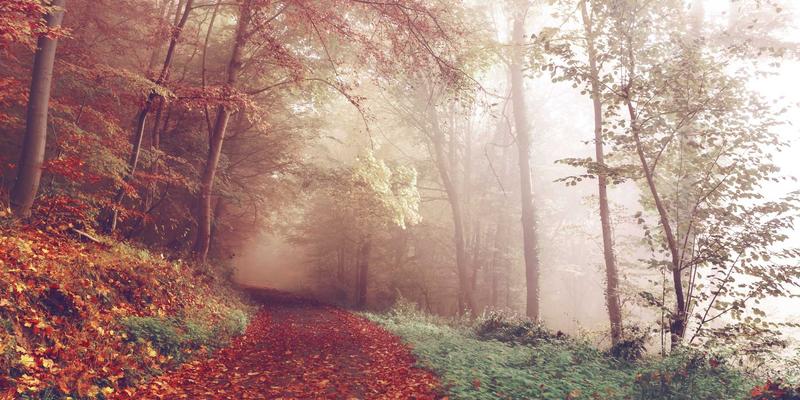 南京聚力：数字孪生如何重塑自动化生产线全生命周期管理？