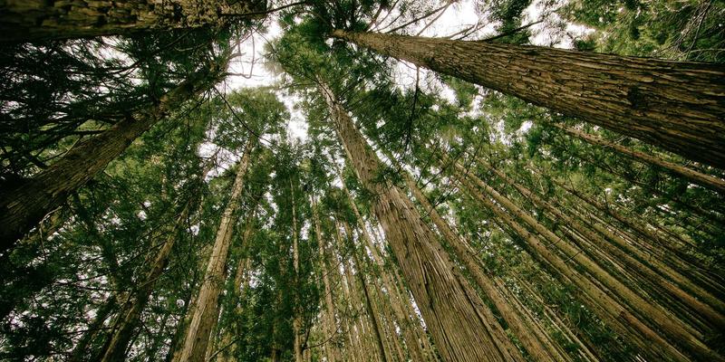 南京聚力科技创新:工业设备与自动化企业如何精准申报政策红利?