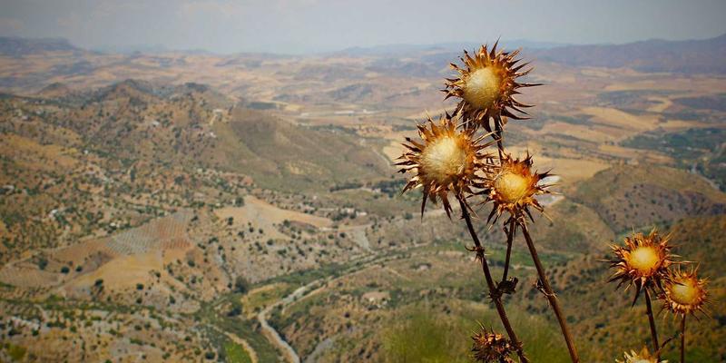 南京聚力:解码高校科研院所成果转化机制,为工业设备领域提供创新解决方案