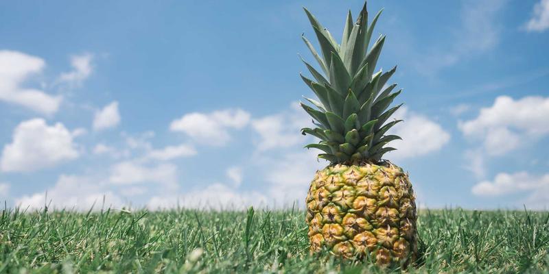 南京聚力轻量化材料加工：自动化设备如何重塑新能源汽车结构件制造新格局