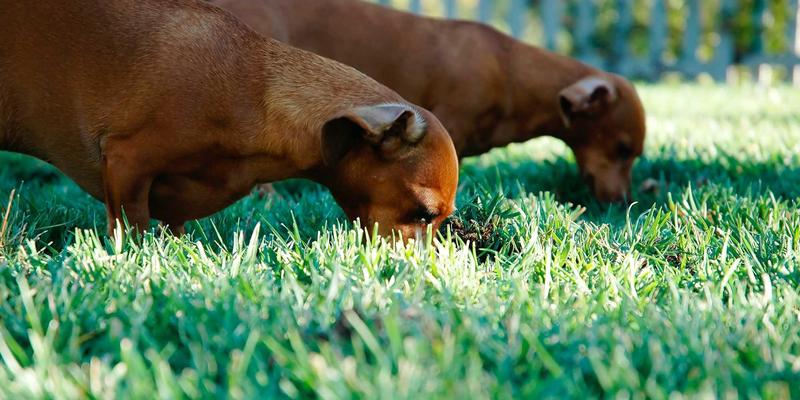 南京聚力：高端医疗器械制造的精密革命，自动化装配与精密加工如何重塑产业未来